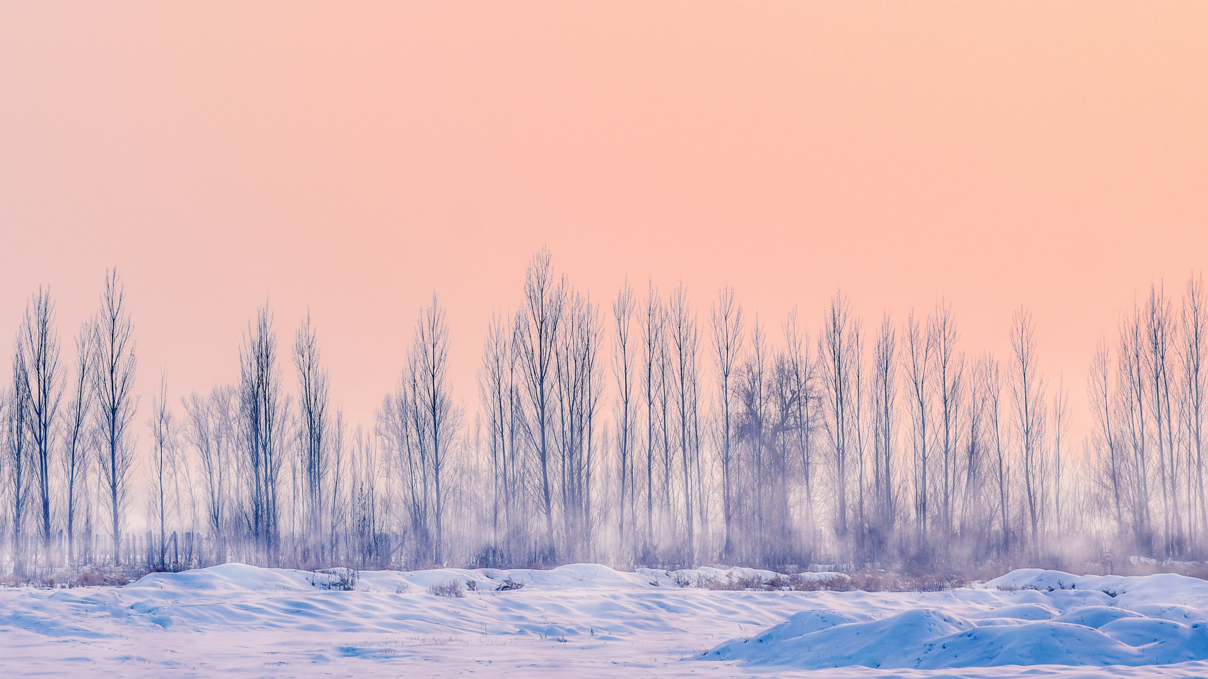 Winter Background